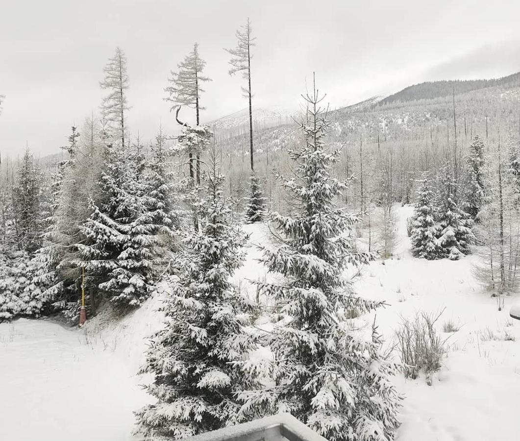 Ubytovanie Pod Gerlachom Wysokie Tatry Zewnętrze zdjęcie