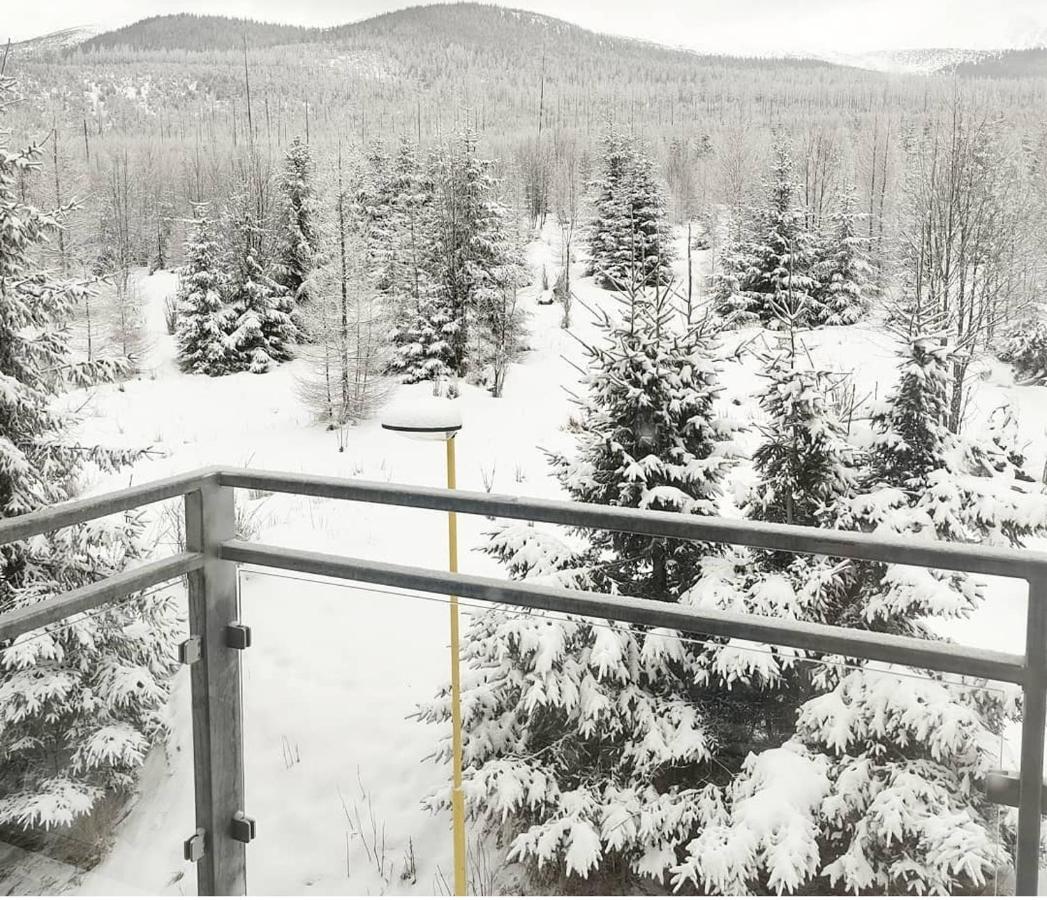 Ubytovanie Pod Gerlachom Wysokie Tatry Zewnętrze zdjęcie